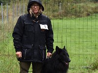Highlander Mylo von Canis Lupus Pallipes