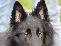 8  Tamina Stern of the beautiful black one