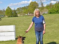 11 JugV1-H Bester Jugendhund TV Jugendsieger Bayern 2024 Ella vom Leonberger Mühlbach