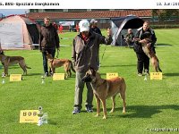 IMG 2619