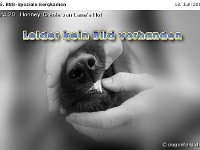 020-Bergk 110618 001
