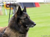 084-Bergk 110618 003