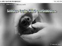 098-Bergk 110618 001