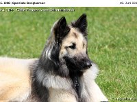 104-Bergk 110618 001