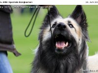 104-Bergk 110618 005