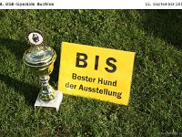 BIS Bulo 120915 001