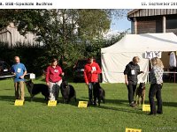 Ehrenring Bulo 120915 006