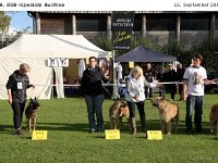 Ehrenring Bulo 120915 007