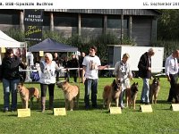 Ehrenring Bulo 120915 008