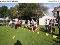 Ehrenring Bulo 120915 010