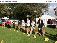 Ehrenring Bulo 120915 012