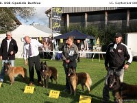 Ehrenring Bulo 120915 016