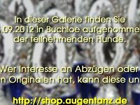 folderimage