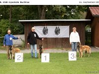 Sieger Bulo 120915 005