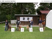 Sieger Bulo 120915 009