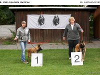 Sieger Bulo 120915 011