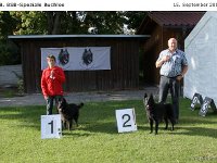 Sieger Bulo 120915 030