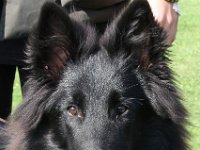 003-Forc 100918 001