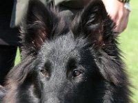 003-Forc 100918 002