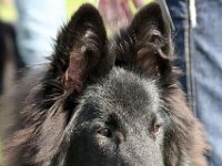 004-Forc 100918 002