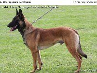 044-Forc 100918 002