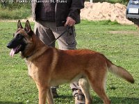 045-Forc 100918 002