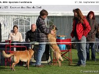 065-Forc 100918 011