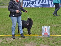 02 Wyatt de l'Arc de Triomphe Bester Juengstenhund Juengstensieger Hessen 2022