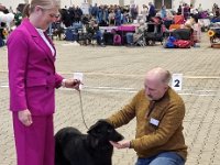 12 Achillia Ex Lupis Sagittariis 1