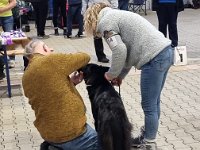 14 Alea Ex Lupis Sagittariis 1