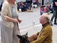 17 Bentley Rebell Represent 1