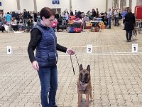 22 Uccello Of The Beautiful Black One 02