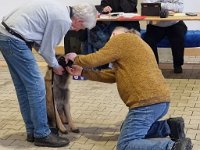 39 Eica Des Deux Diadèmes 4