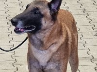 WhatsApp Image 2026-01-10 at 17.46.54 (3)