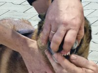 WhatsApp Image 2026-01-10 at 17.46.54