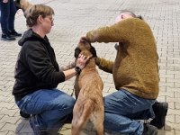 WhatsApp Image 2026-01-10 at 17.47.33