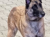 WhatsApp Image 2026-01-10 at 17.47.55 (8)