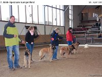 ZGr-TV-Lngfl 120415 001