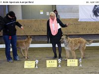 Ehrenring-Lngfl 120415 006