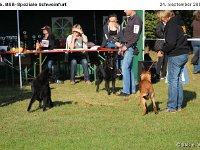 IMG 3282