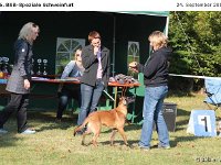 IMG 3293