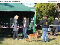 IMG 3295