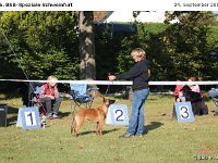 IMG 3296
