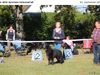 IMG 3312