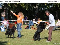 IMG 3364