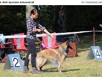 IMG 3425