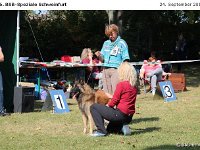 IMG 3460