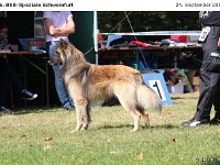 IMG 3475