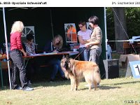 IMG 3484