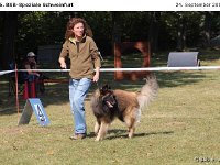 IMG 3507